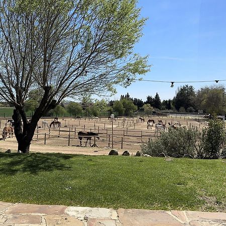 Bungalow Infanta Torrelaguna Dış mekan fotoğraf