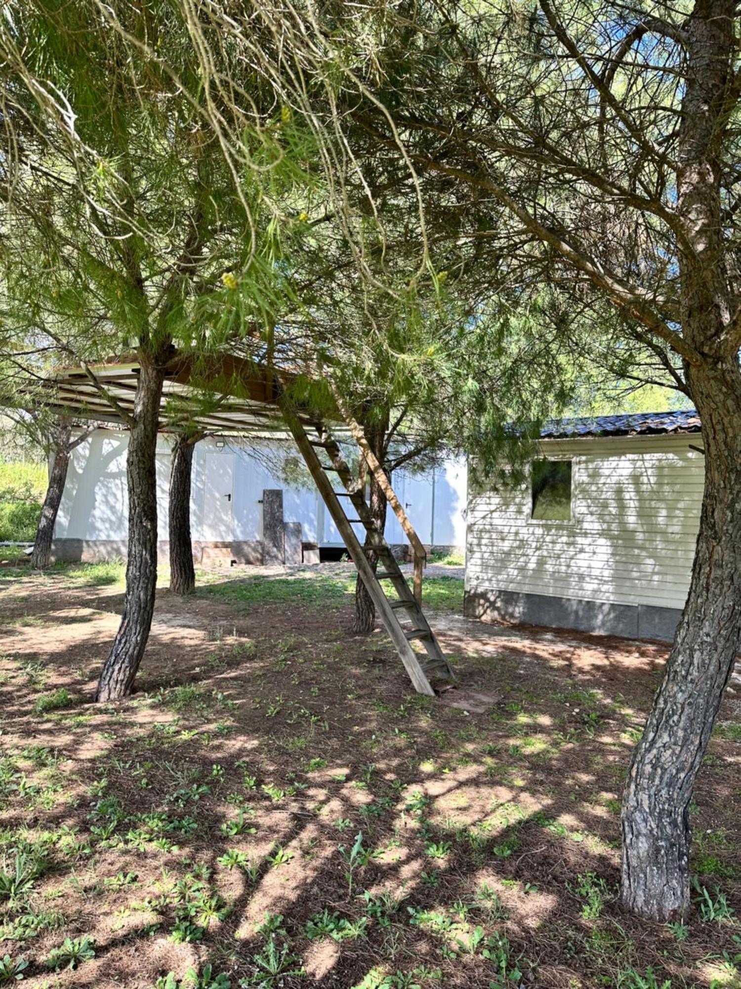 Bungalow Infanta Torrelaguna Dış mekan fotoğraf
