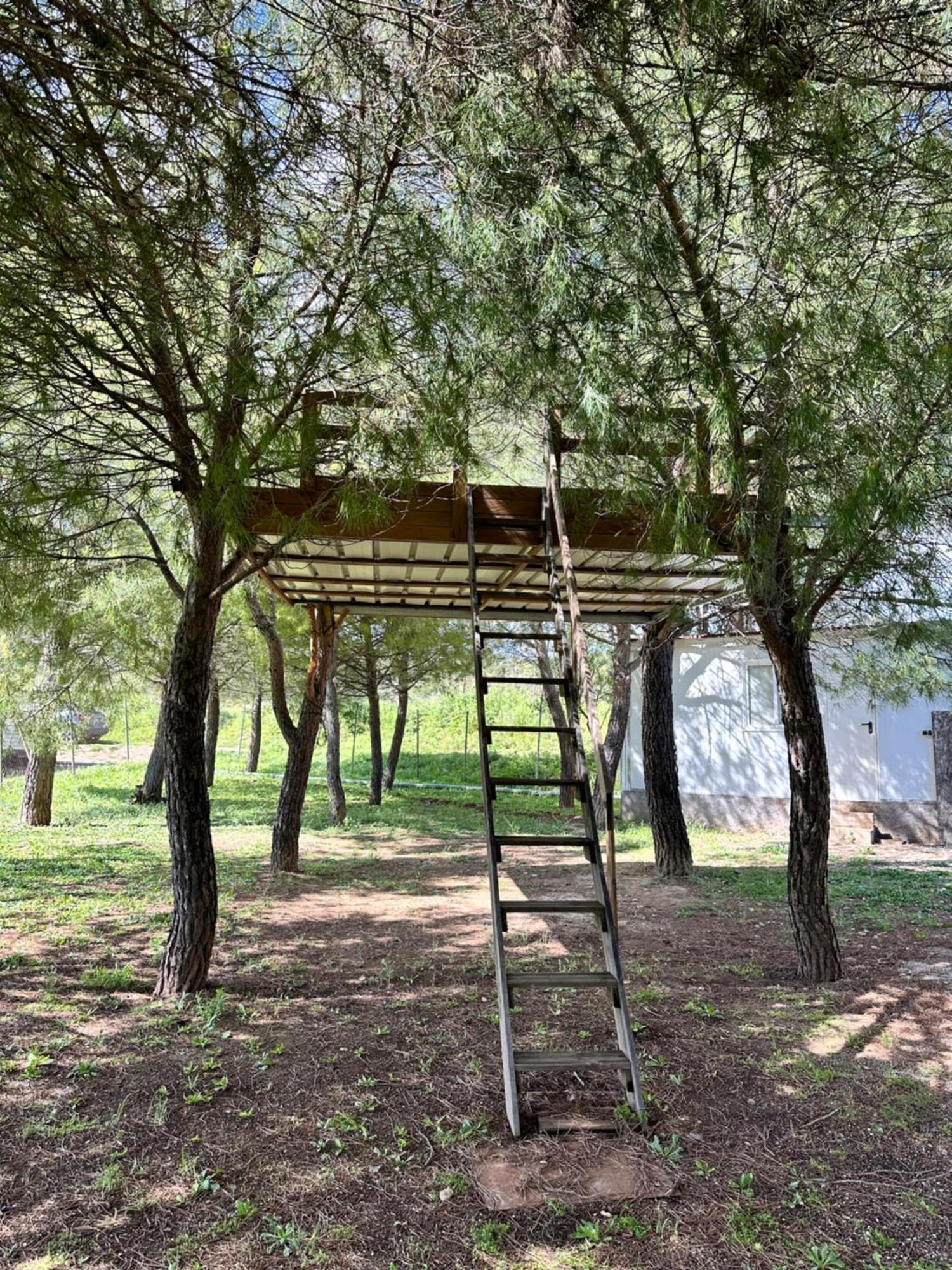 Bungalow Infanta Torrelaguna Dış mekan fotoğraf