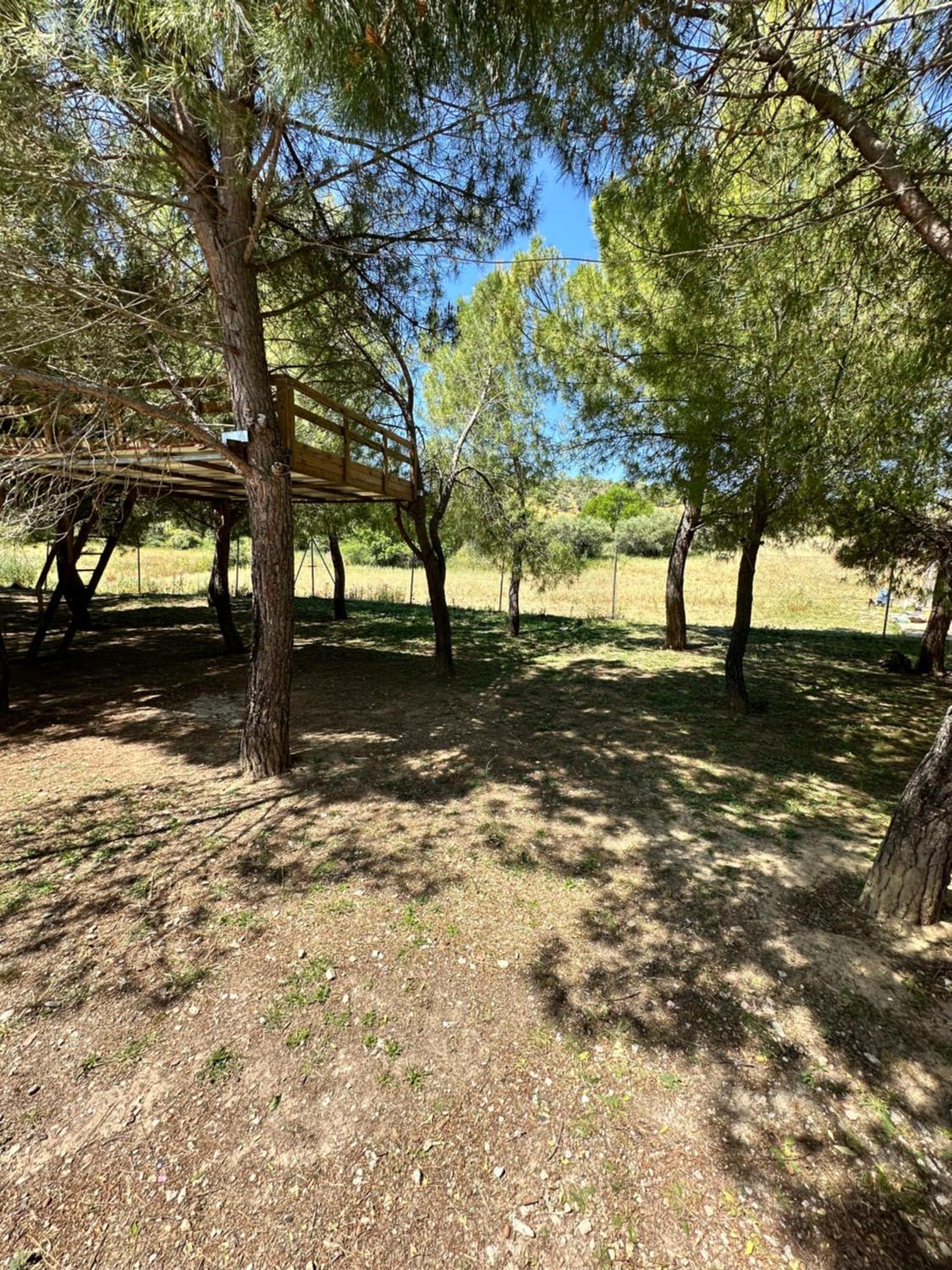 Bungalow Infanta Torrelaguna Dış mekan fotoğraf