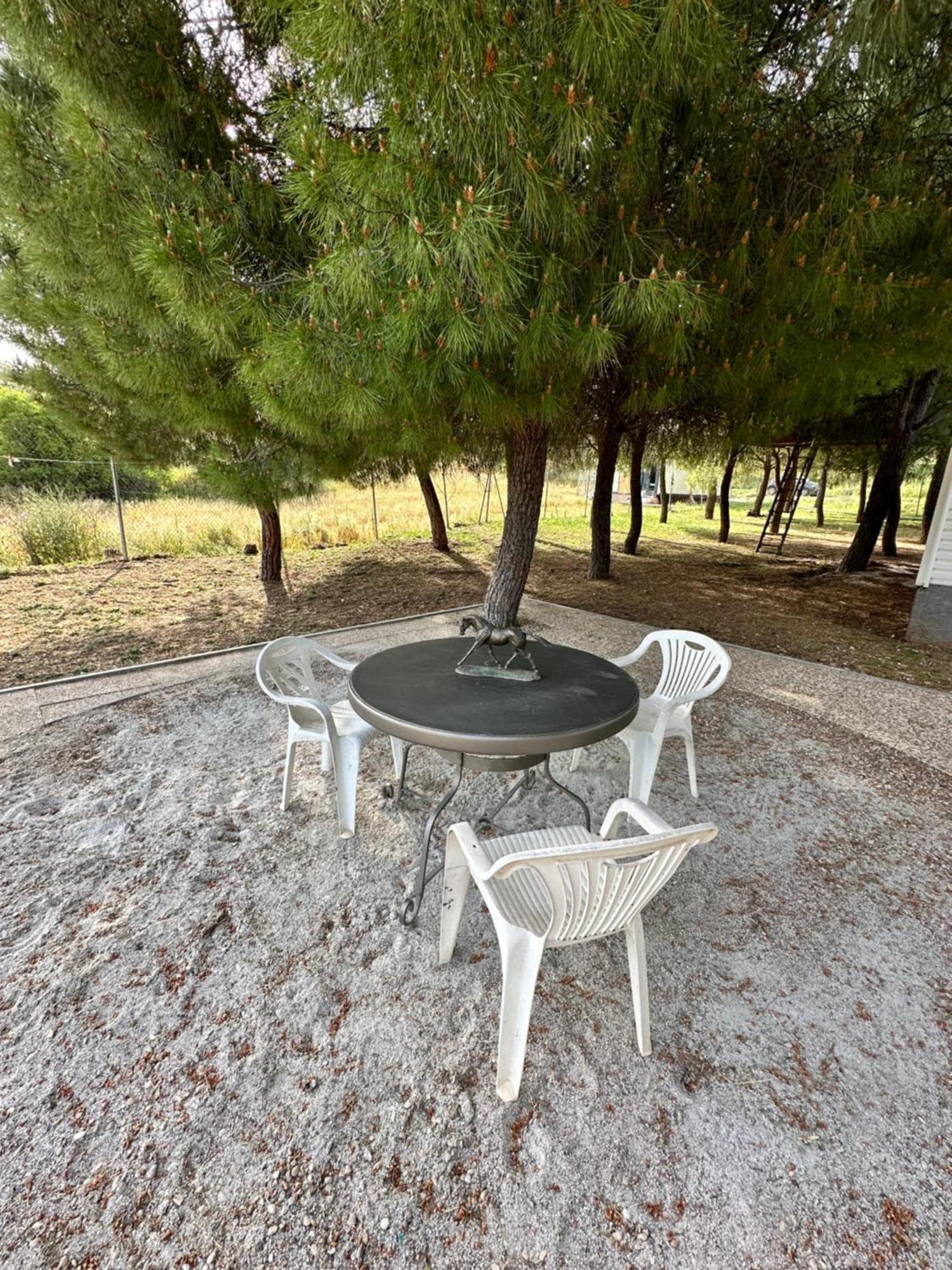 Bungalow Infanta Torrelaguna Dış mekan fotoğraf